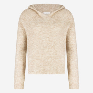 Hoodie pullover H22167